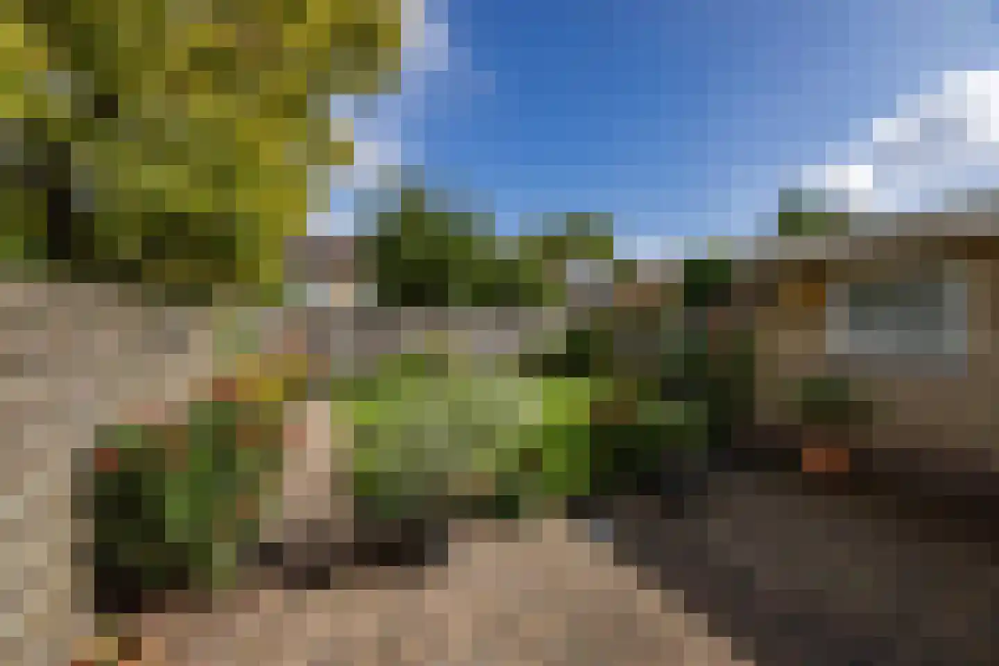 Anjerstraat 14 Drunen thumbnail 41