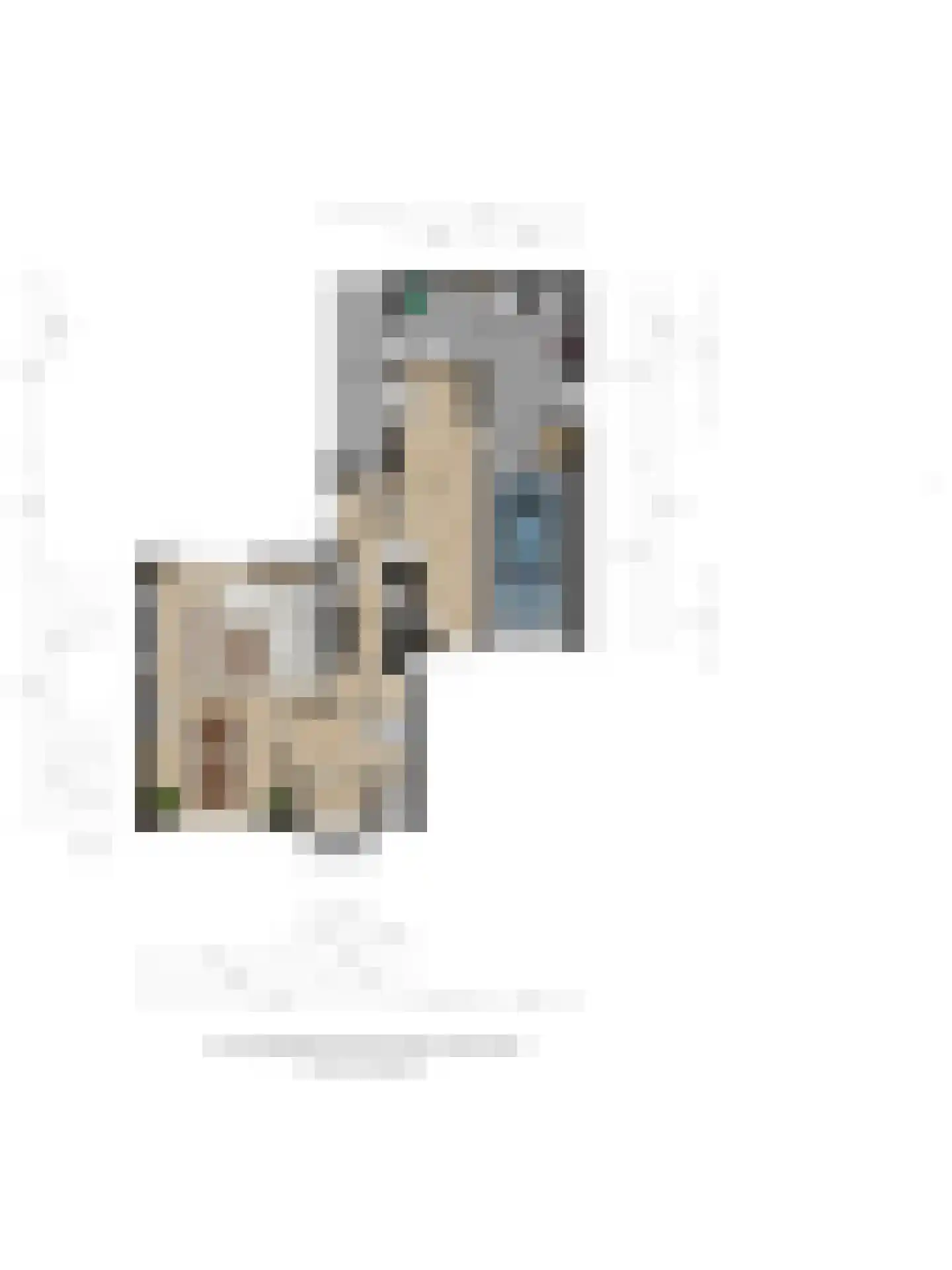Anjerstraat 14 Goor thumbnail 31