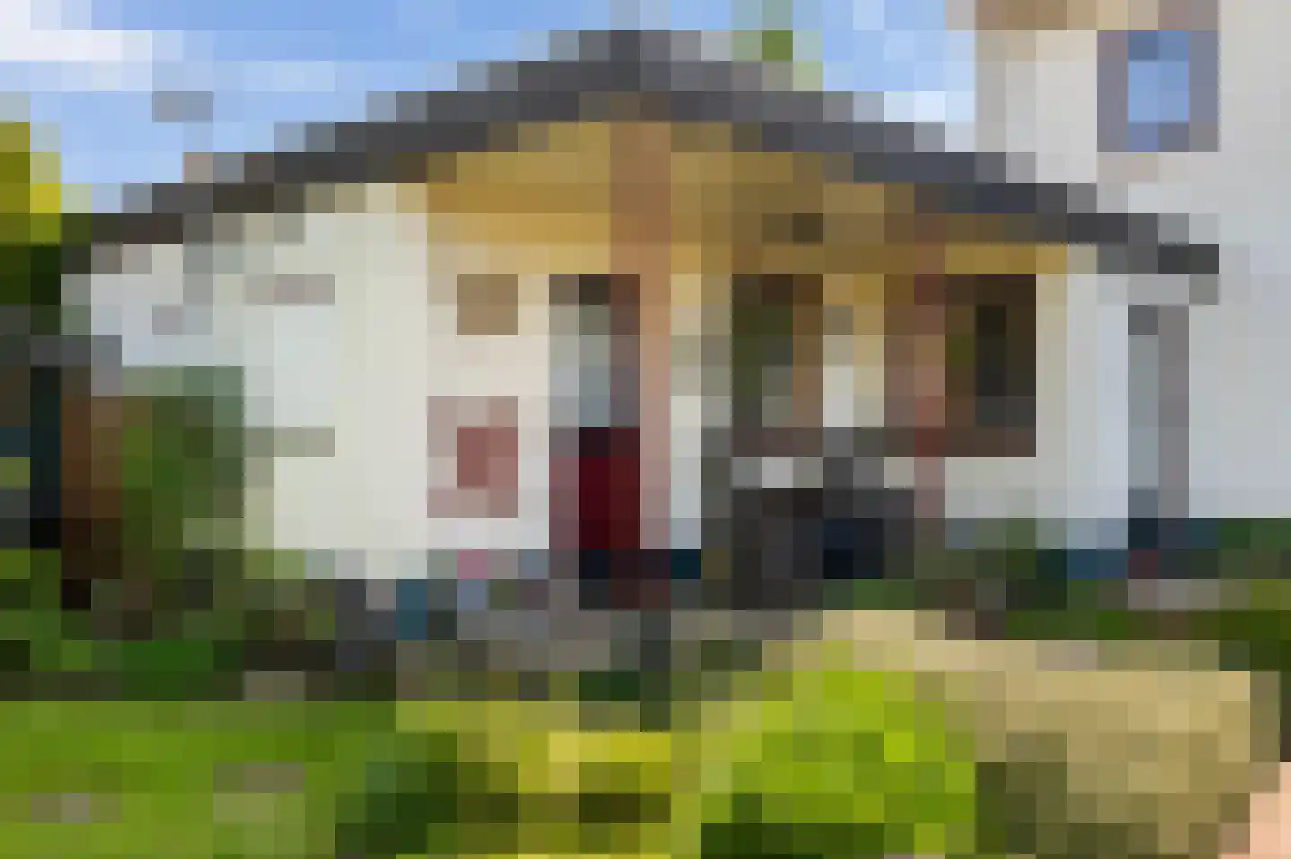 Anjerstraat 14 Goor thumbnail 4