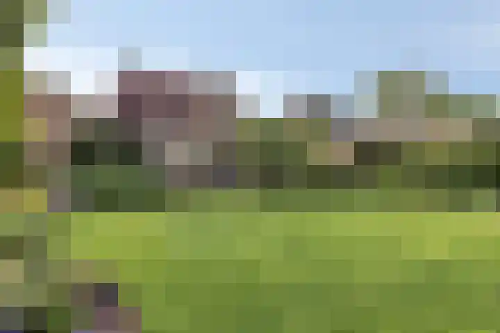 Anjerstraat 18 Goor thumbnail 32