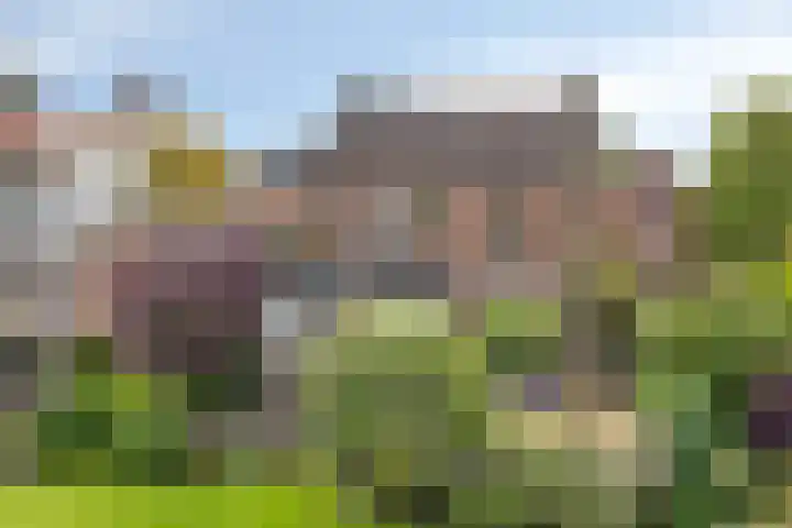 Anjerstraat 18 Goor thumbnail 37
