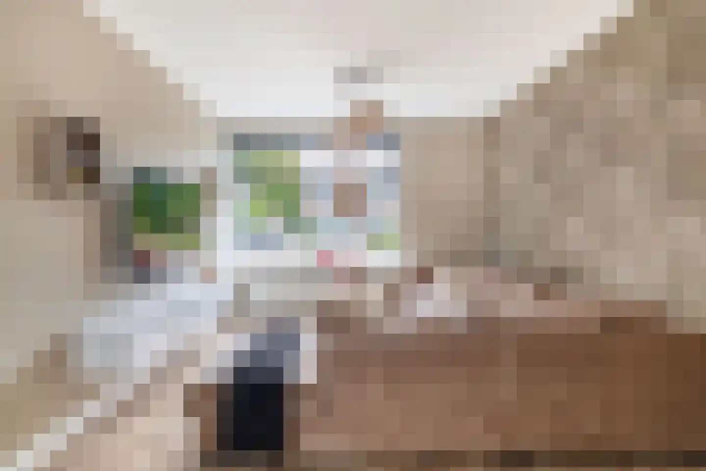 Anjerstraat 18 's-Gravenzande thumbnail 9