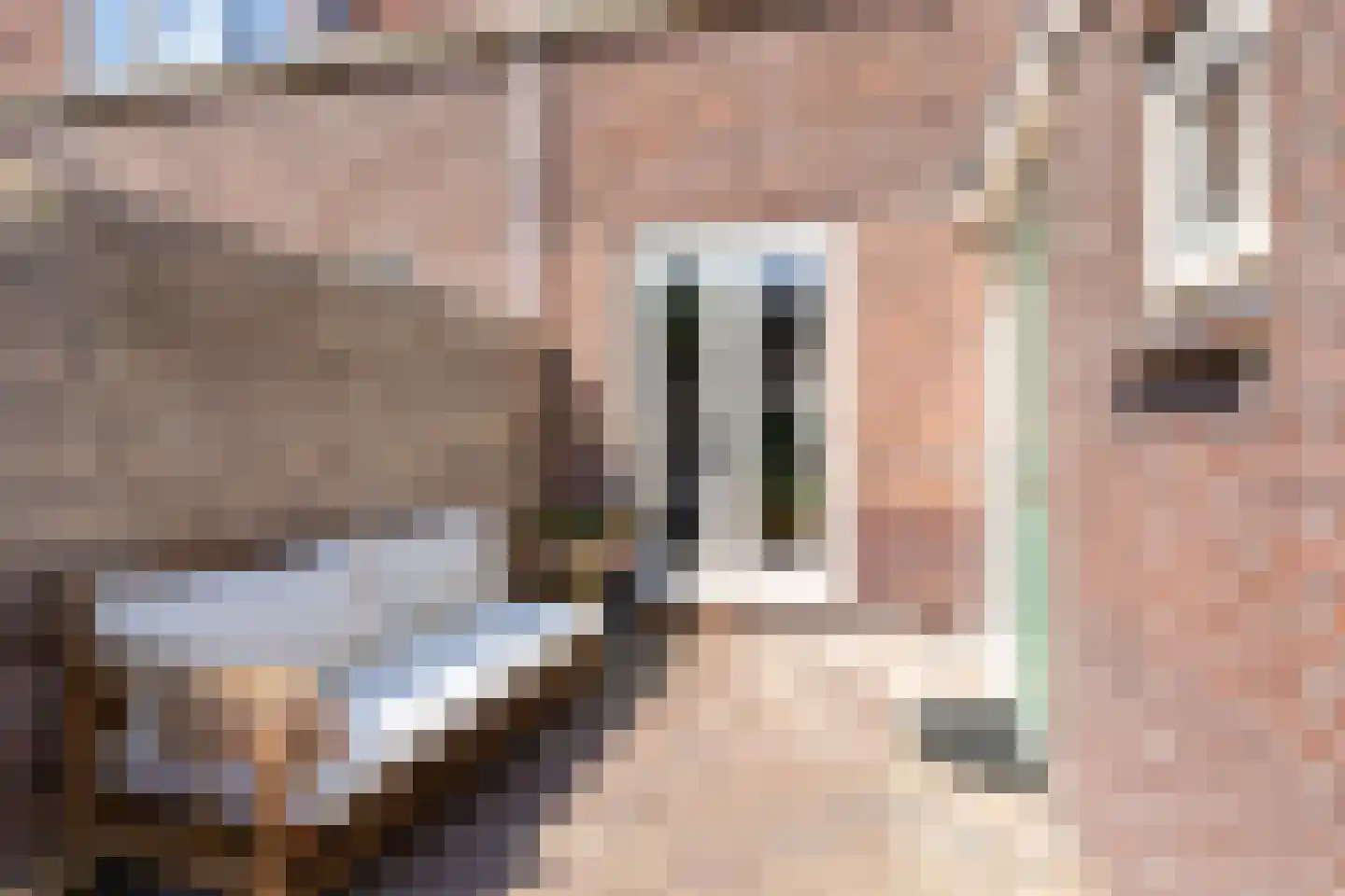 Anjerstraat 19 Amersfoort thumbnail 26
