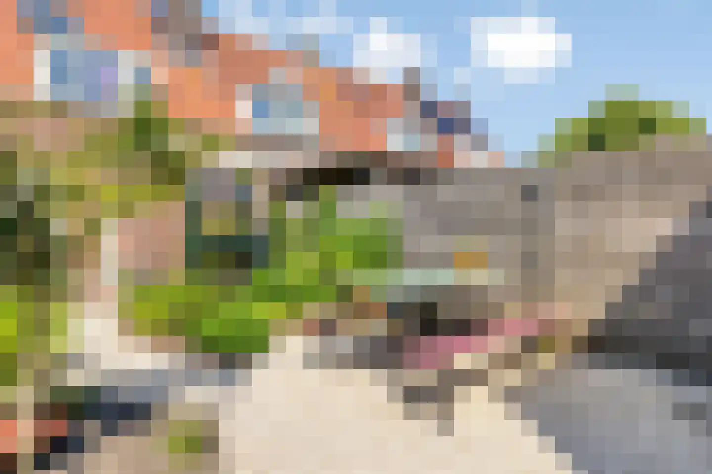 Anjerstraat 19 Amersfoort thumbnail 30