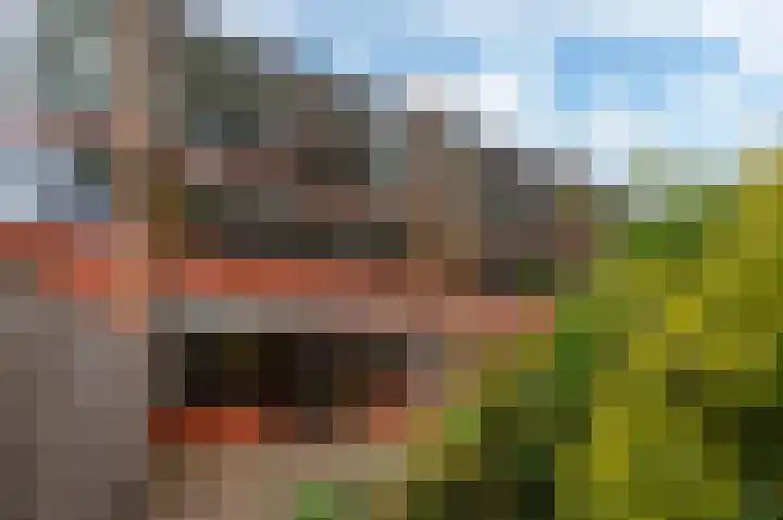 Anjerstraat 2 Almere thumbnail 33