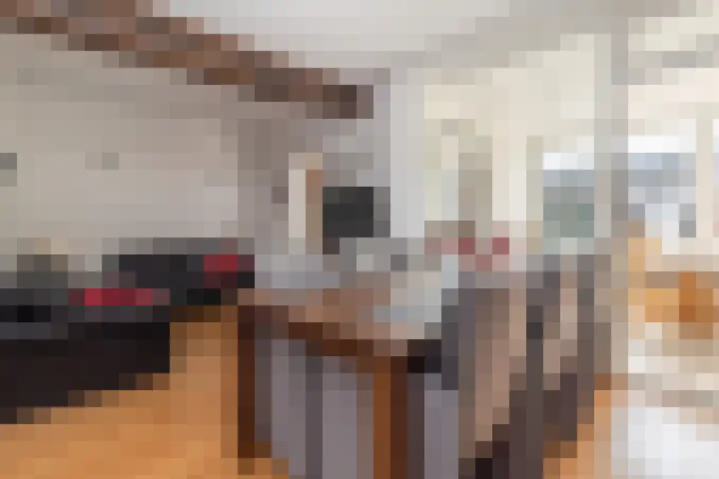 Anjerstraat 2 Nieuwstadt thumbnail 12