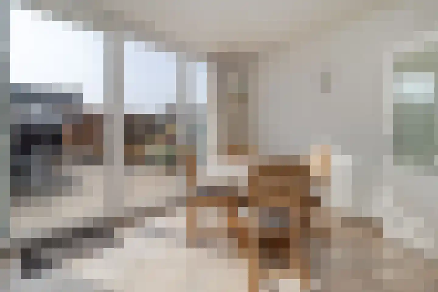 Anjerstraat 2 Nieuwstadt thumbnail 19