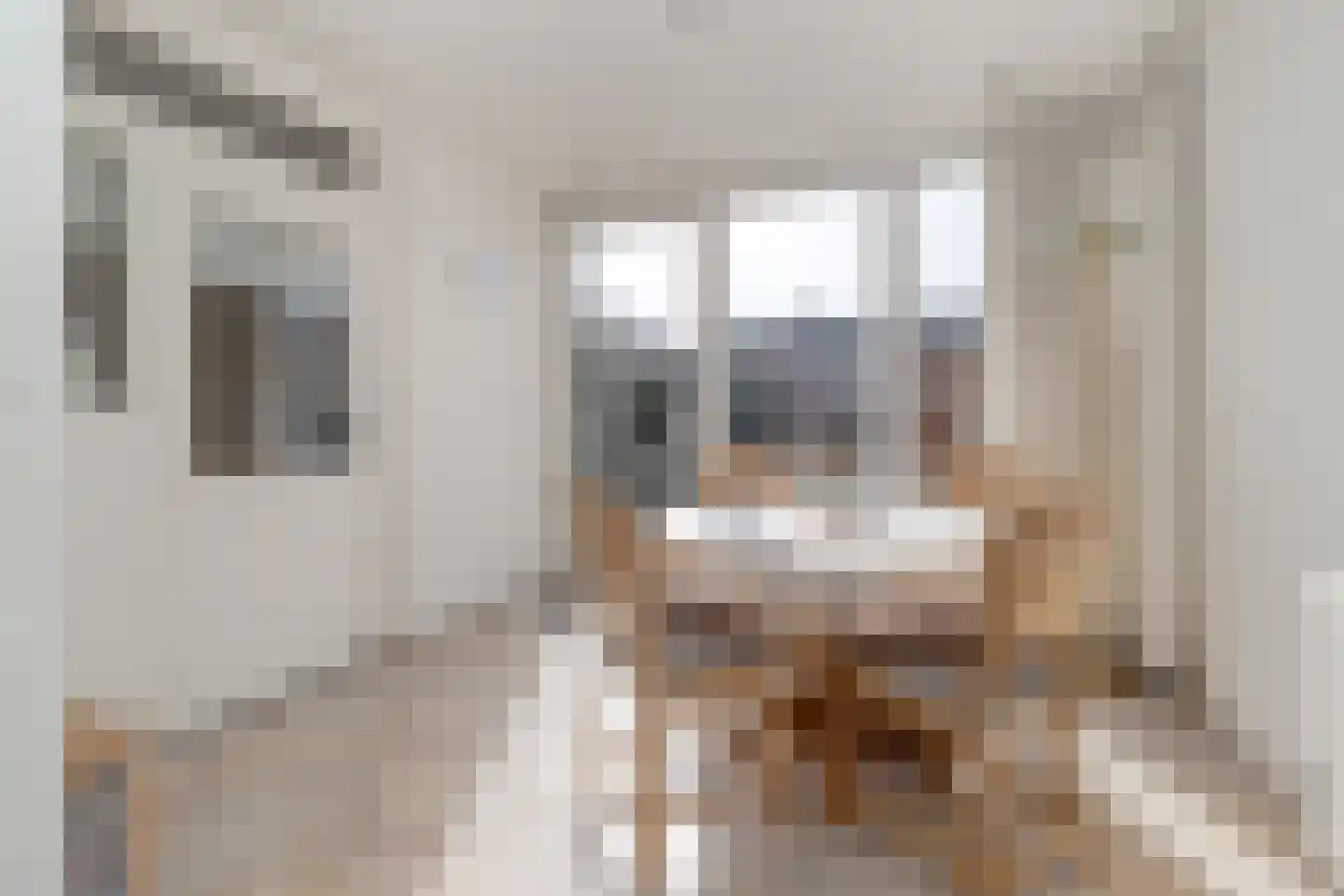 Anjerstraat 2 Nieuwstadt thumbnail 20