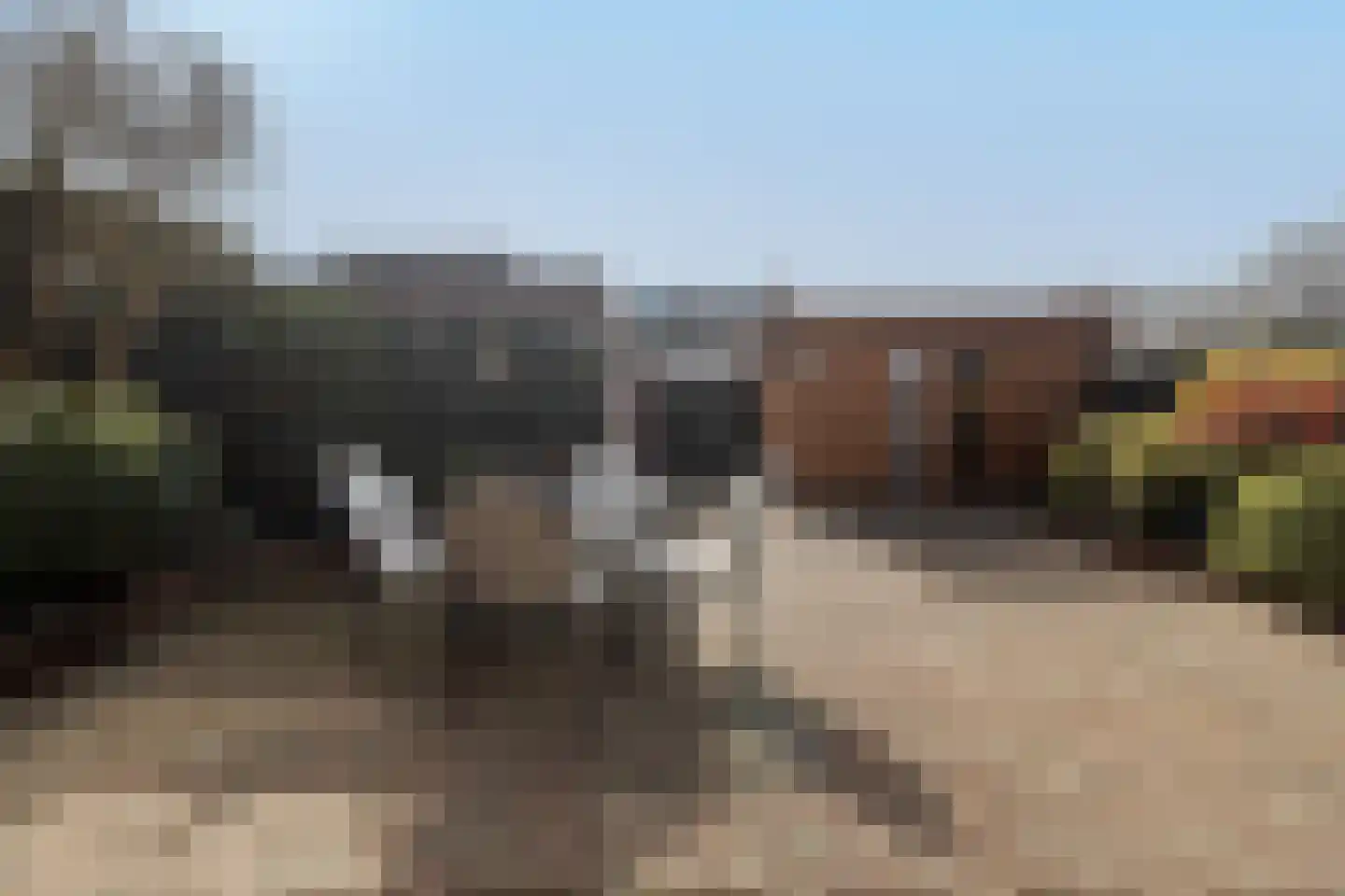 Anjerstraat 2 Nieuwstadt thumbnail 29
