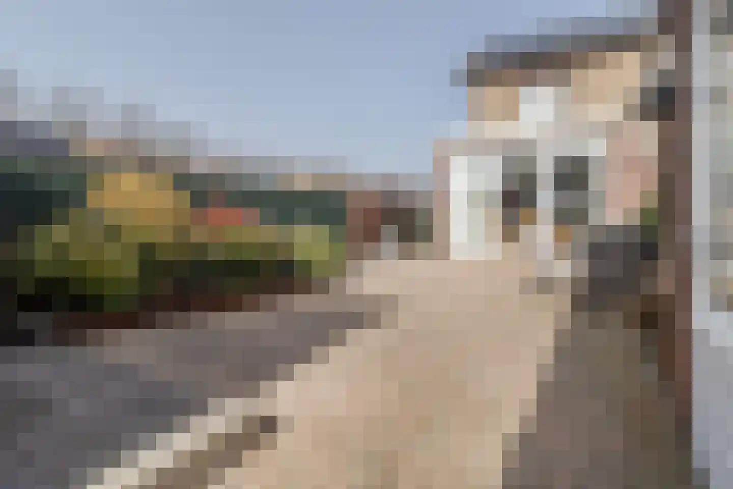 Anjerstraat 2 Nieuwstadt thumbnail 34