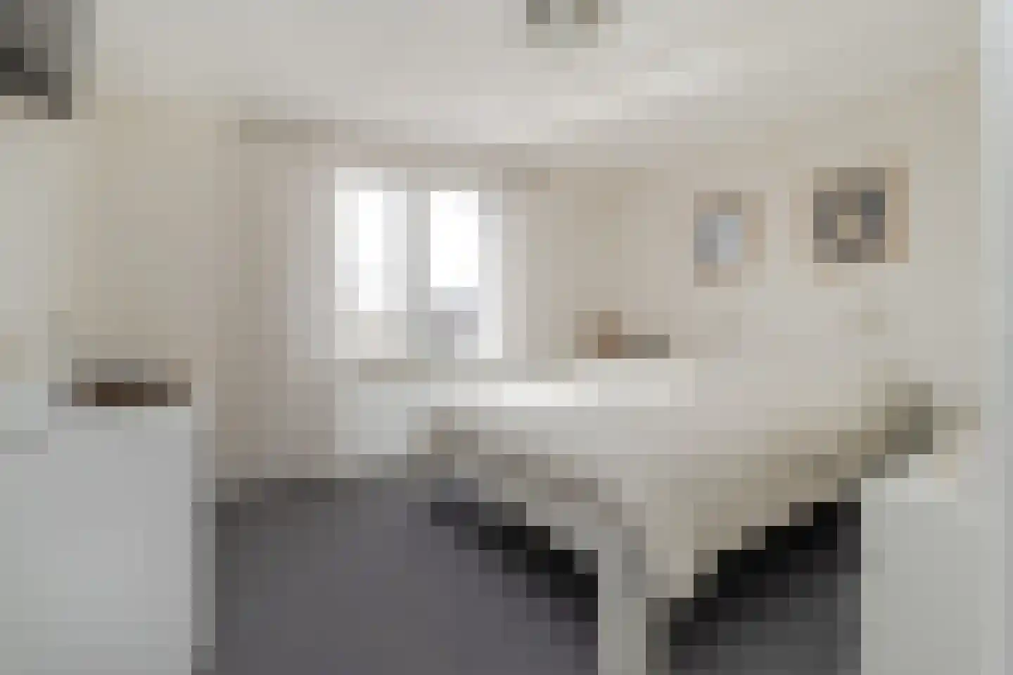 Anjerstraat 2 Nieuwstadt thumbnail 4