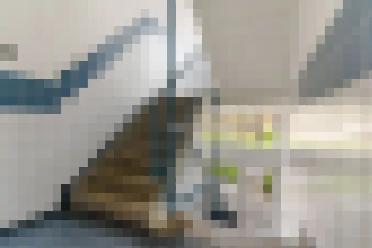 Anjerstraat 2 Zwijndrecht thumbnail 19