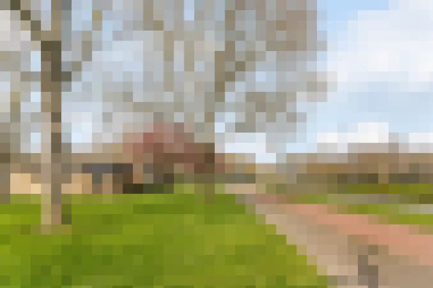 Anjerstraat 2 Zwijndrecht thumbnail 21