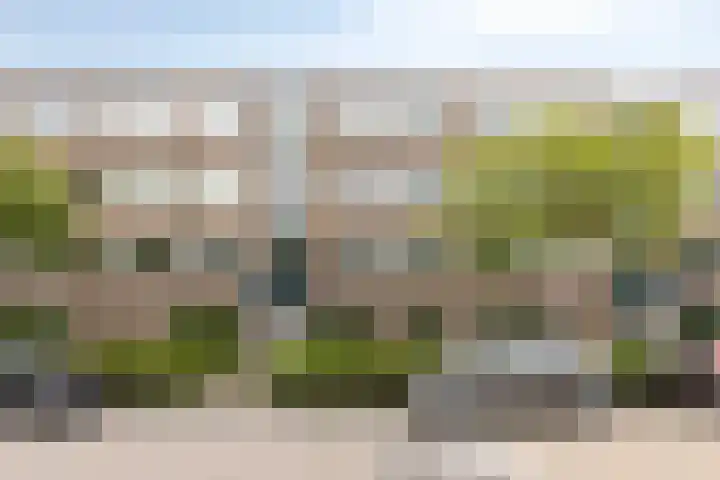 Anjerstraat 20 in Zwijndrecht