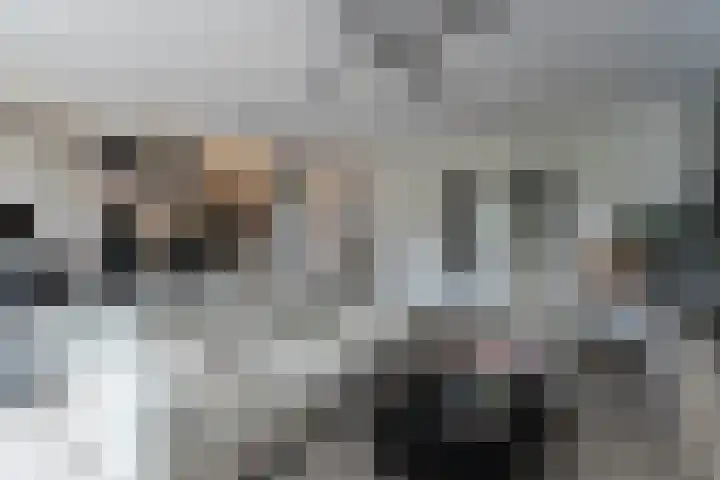Anjerstraat 21 Alblasserdam thumbnail 10