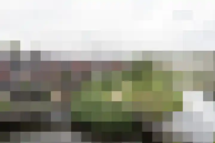 Anjerstraat 21 Alblasserdam thumbnail 20