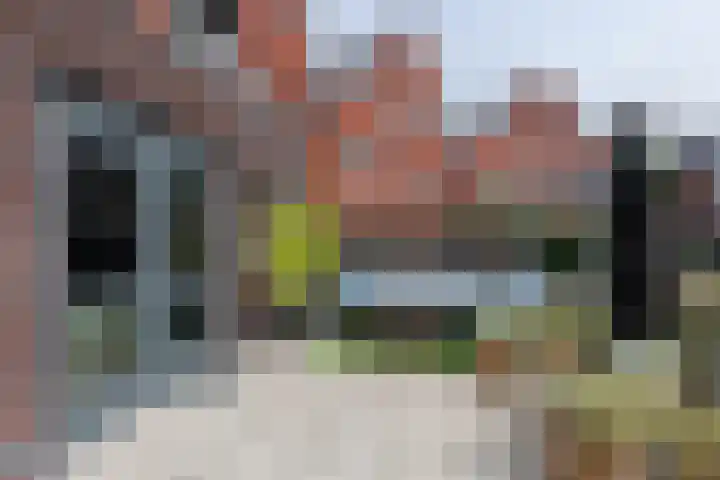 Anjerstraat 21 Alblasserdam thumbnail 23