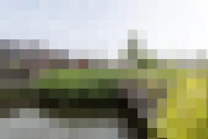 Anjerstraat 21 Alblasserdam thumbnail 25