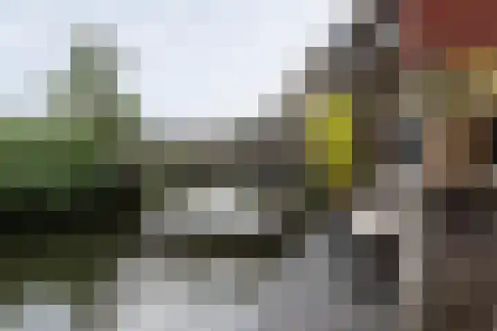 Anjerstraat 21 Alblasserdam thumbnail 26