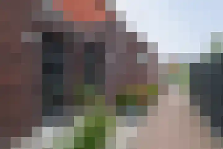Anjerstraat 21 Alblasserdam thumbnail 5