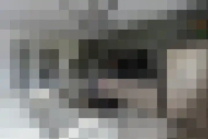 Anjerstraat 21 Alblasserdam thumbnail 8