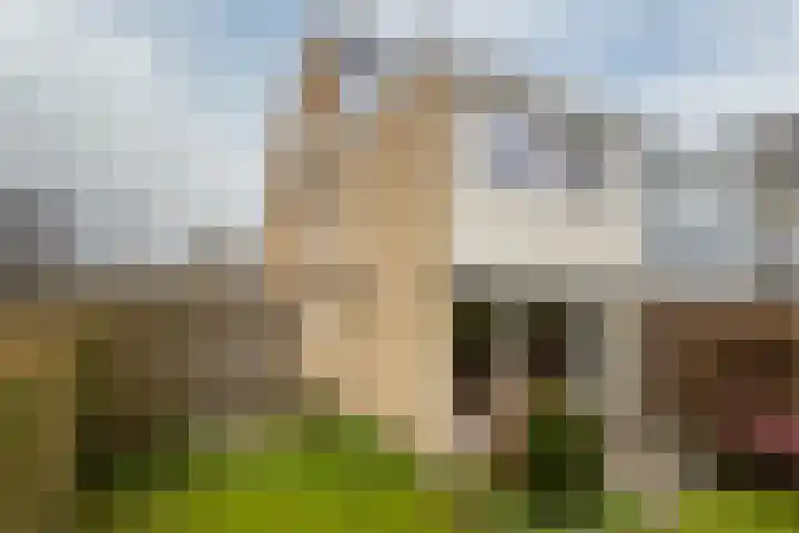 Anjerstraat 23 Hoogkarspel thumbnail 18