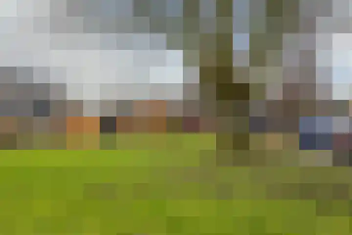 Anjerstraat 23 Hoogkarspel thumbnail 41