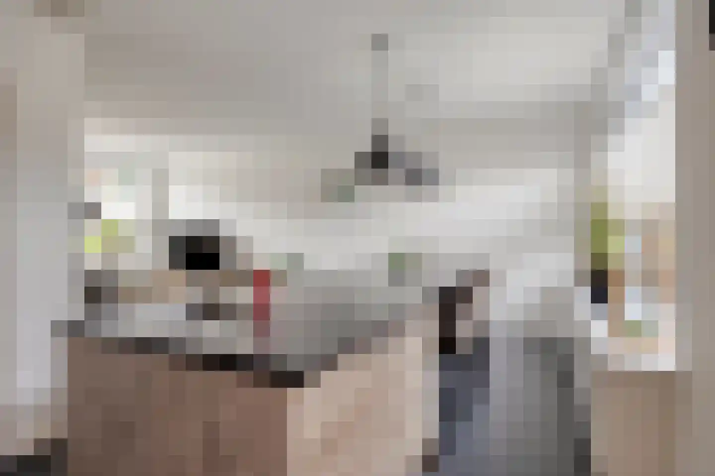 Anjerstraat 24 Denekamp thumbnail 10