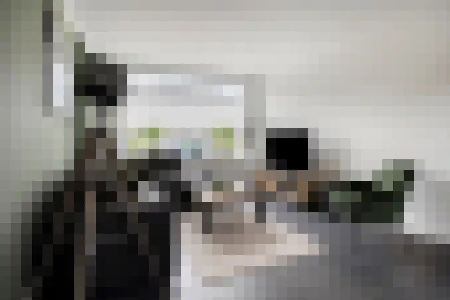 Anjerstraat 24 Denekamp thumbnail 4