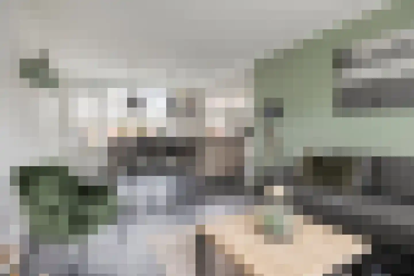 Anjerstraat 24 Denekamp thumbnail 6