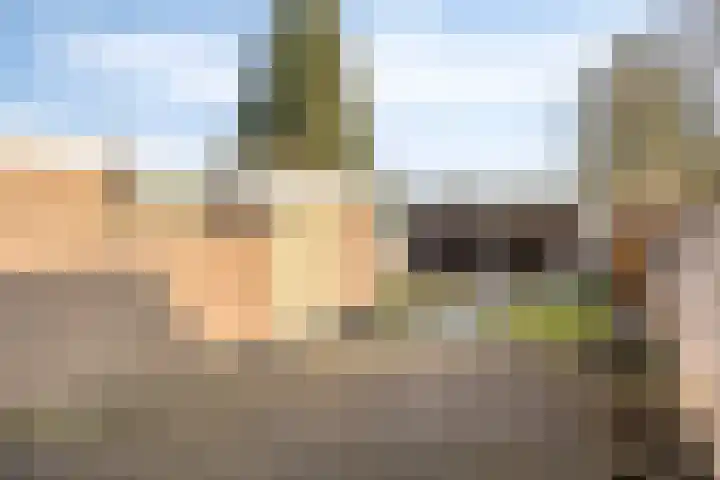 Anjerstraat 29 Goor thumbnail 33