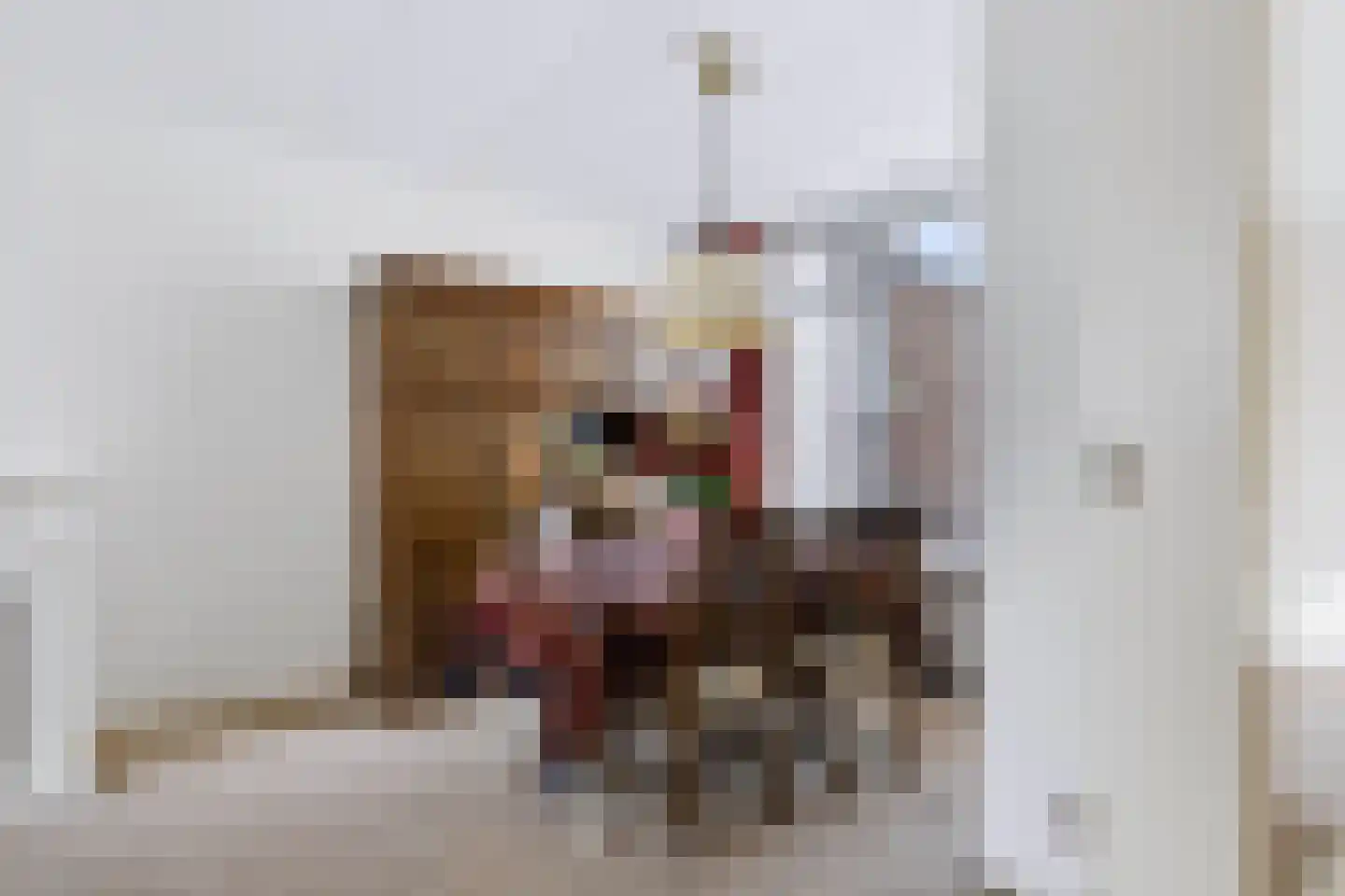 Anjerstraat 3 Raalte thumbnail 10