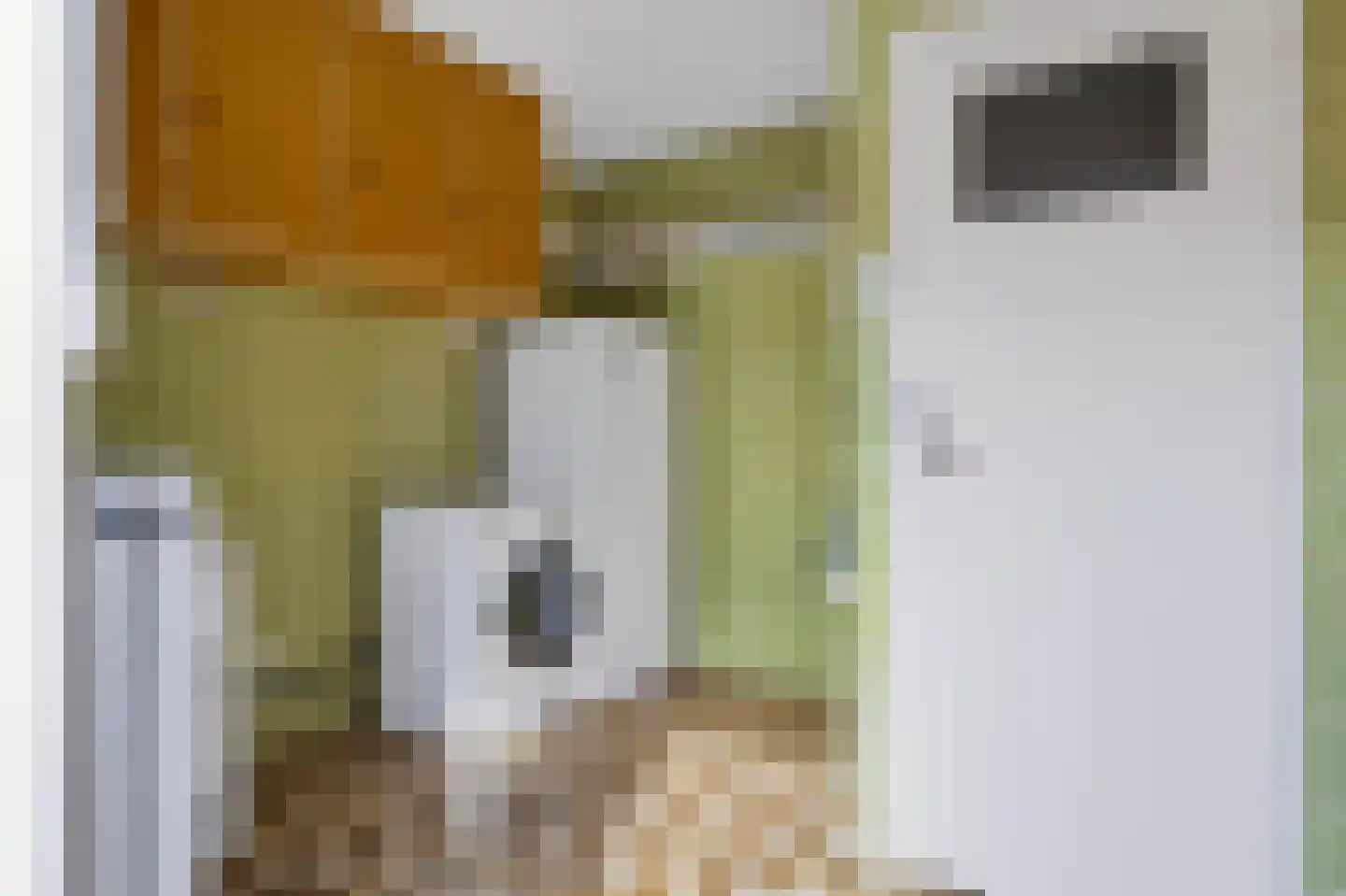 Anjerstraat 3 Raalte thumbnail 13