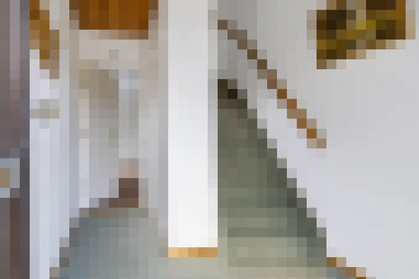 Anjerstraat 3 Raalte thumbnail 15