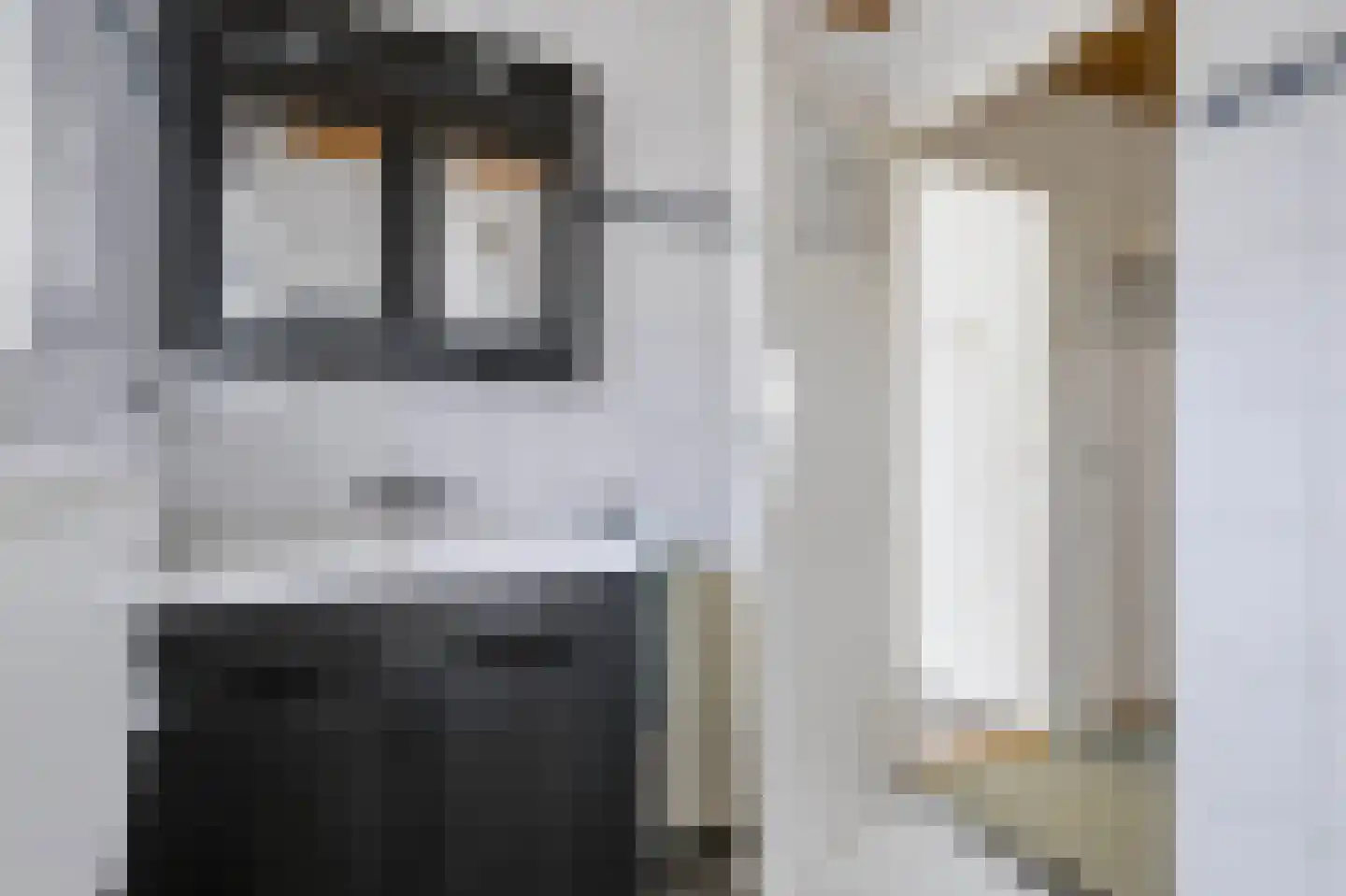 Anjerstraat 3 Raalte thumbnail 18