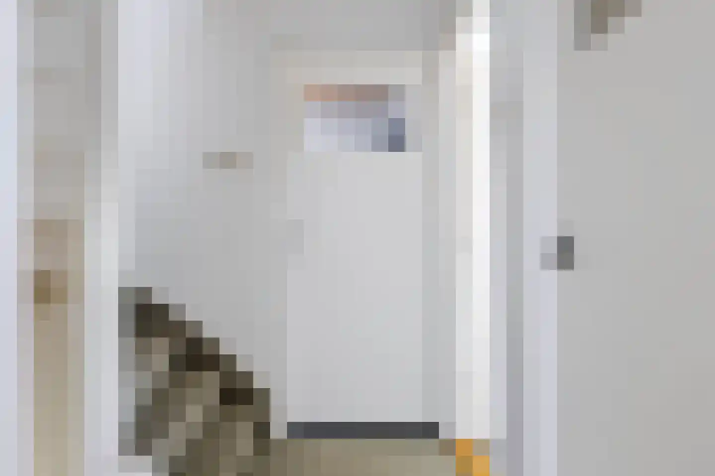 Anjerstraat 3 Raalte thumbnail 25