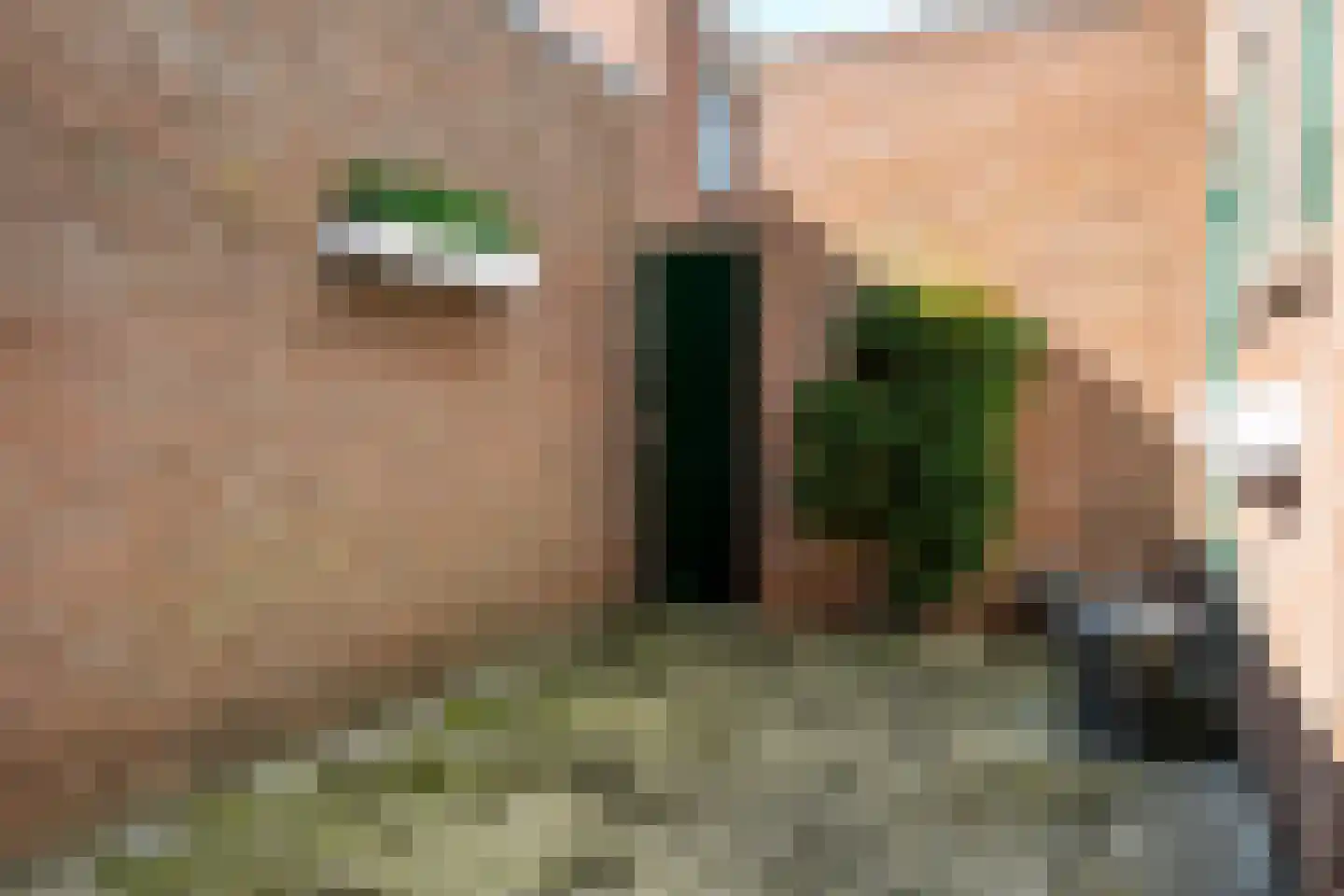 Anjerstraat 3 Raalte thumbnail 30