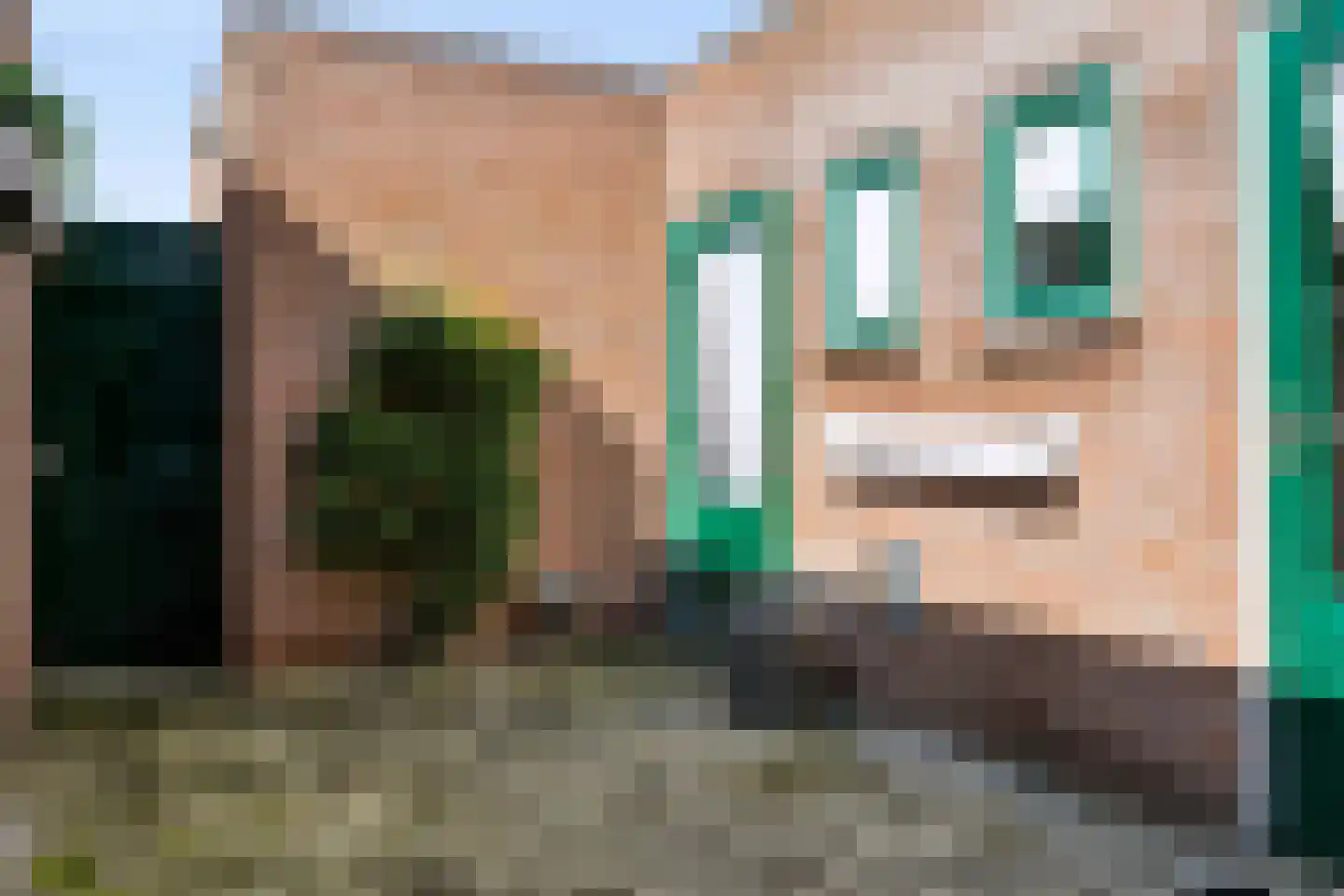 Anjerstraat 3 Raalte thumbnail 31