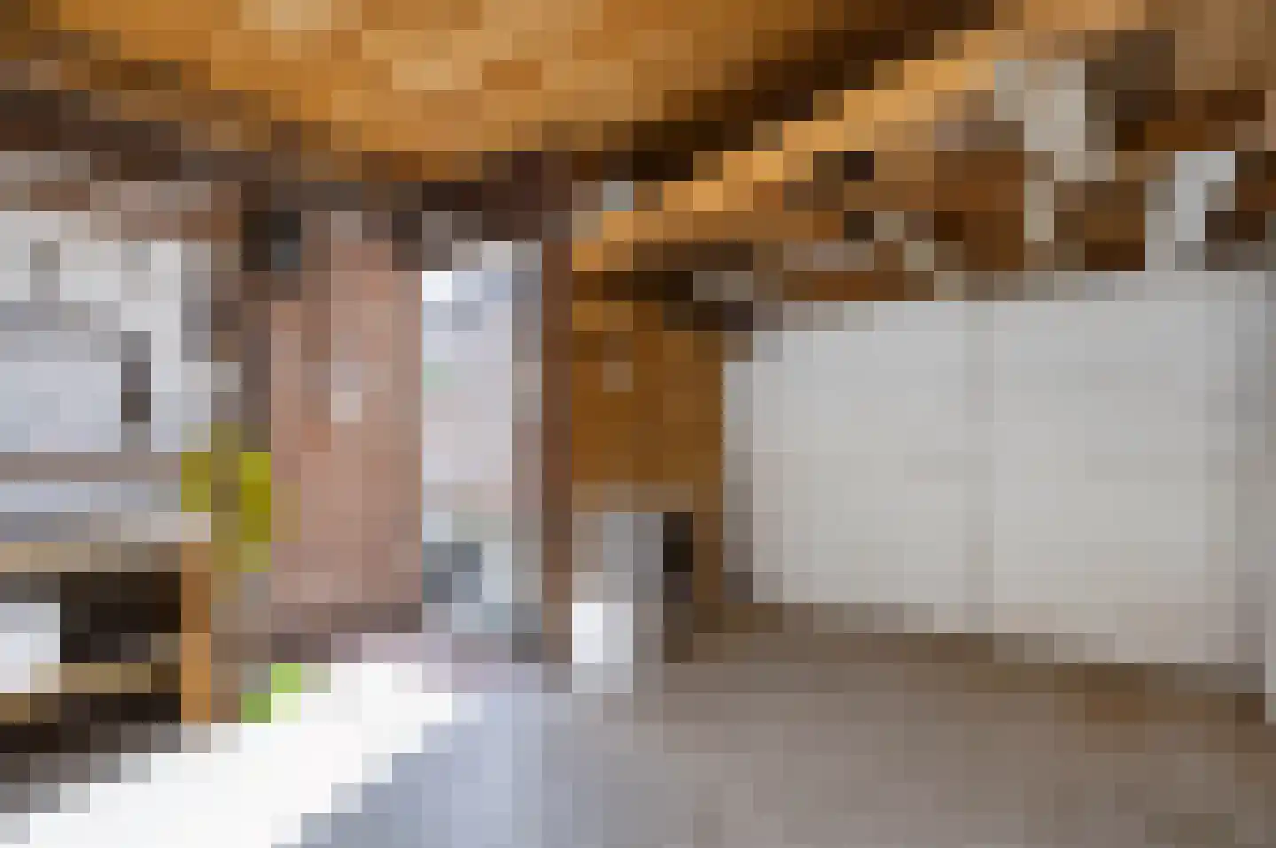 Anjerstraat 3 Raalte thumbnail 32
