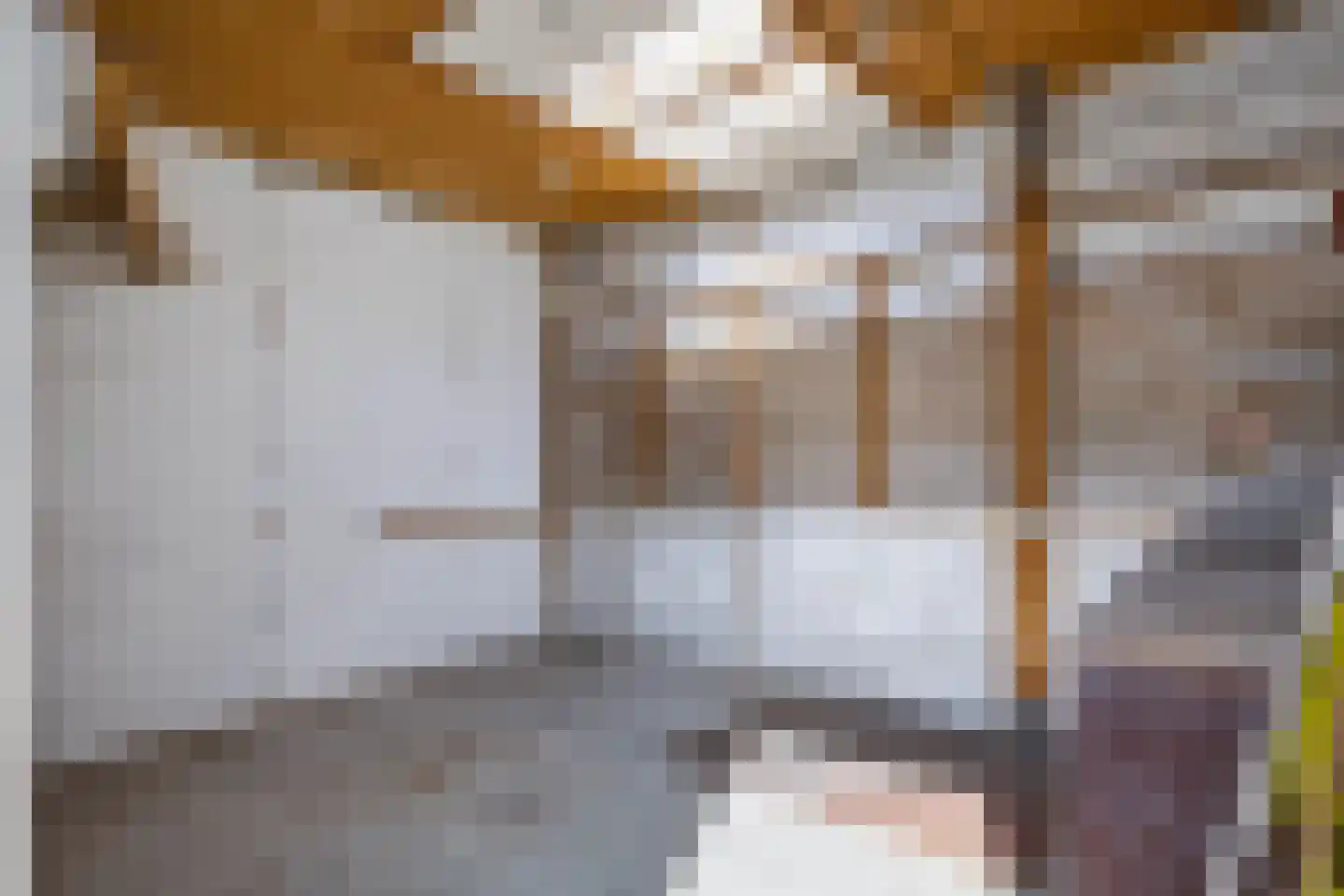 Anjerstraat 3 Raalte thumbnail 33