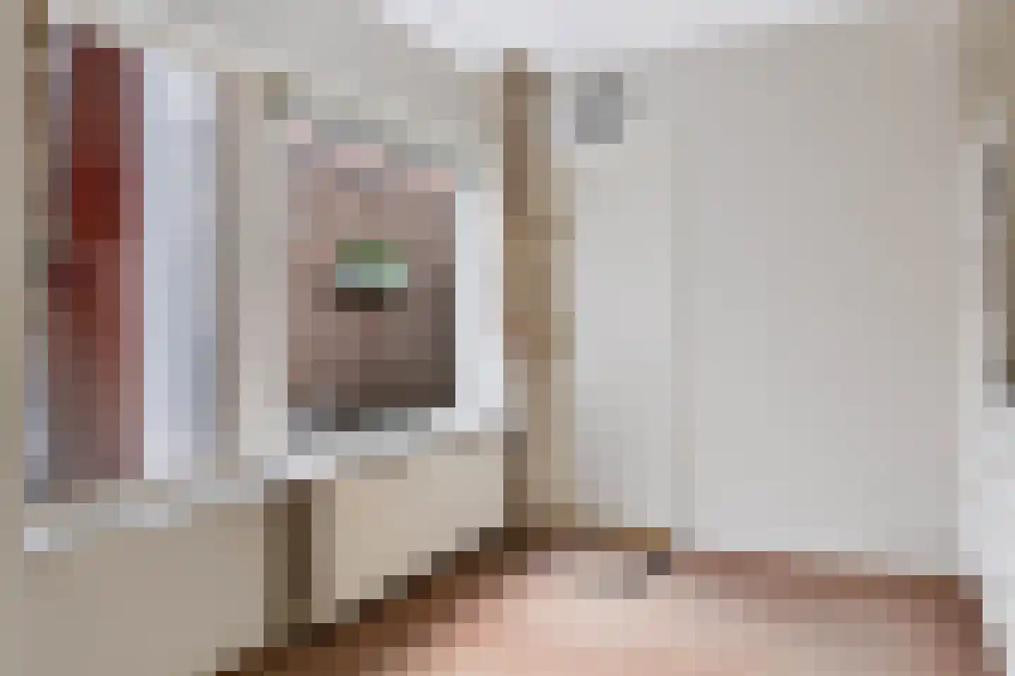 Anjerstraat 3 Raalte thumbnail 7