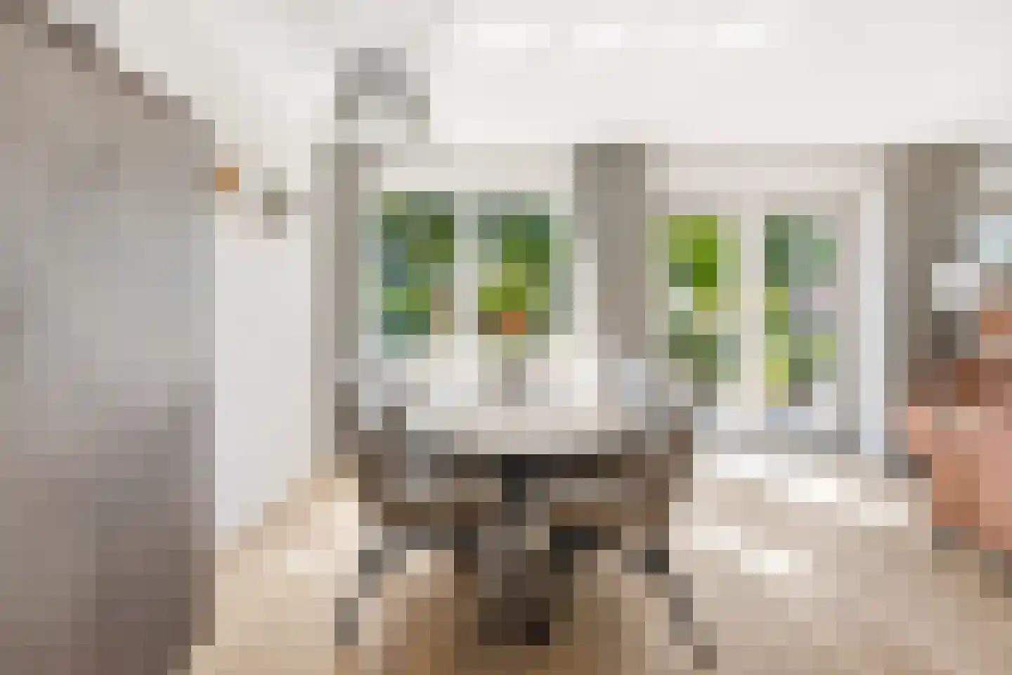 Anjerstraat 31 Alblasserdam thumbnail 11