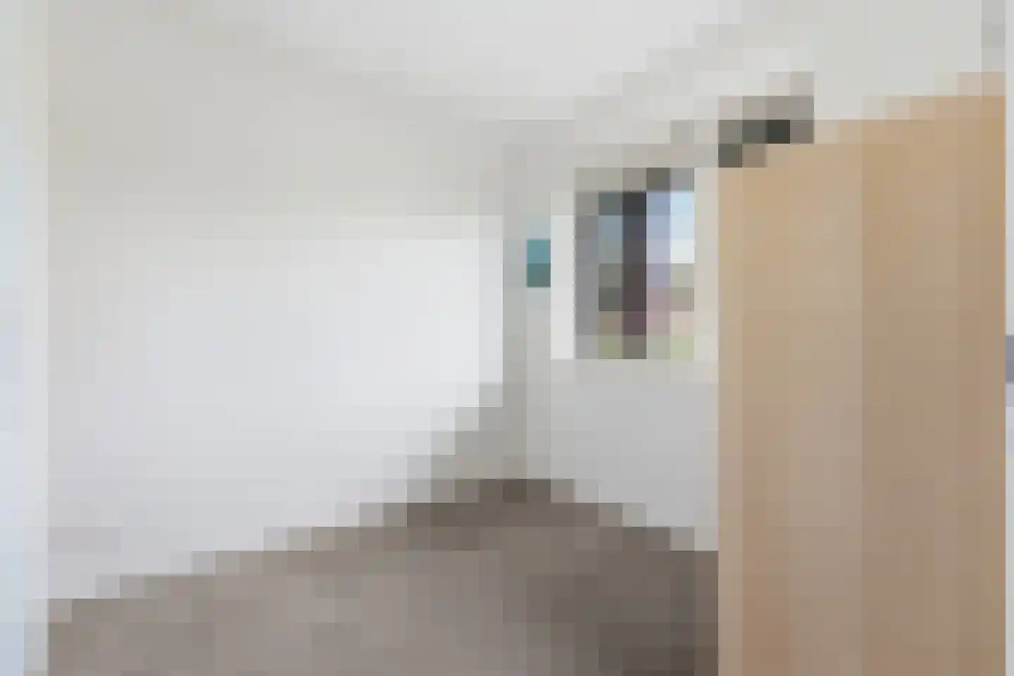Anjerstraat 31 Alblasserdam thumbnail 21