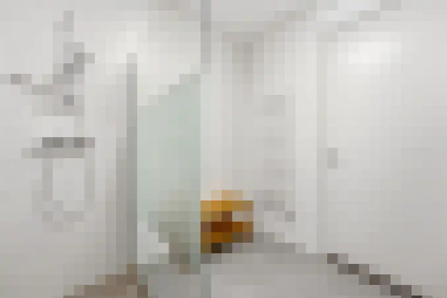 Anjerstraat 31 Alblasserdam thumbnail 25