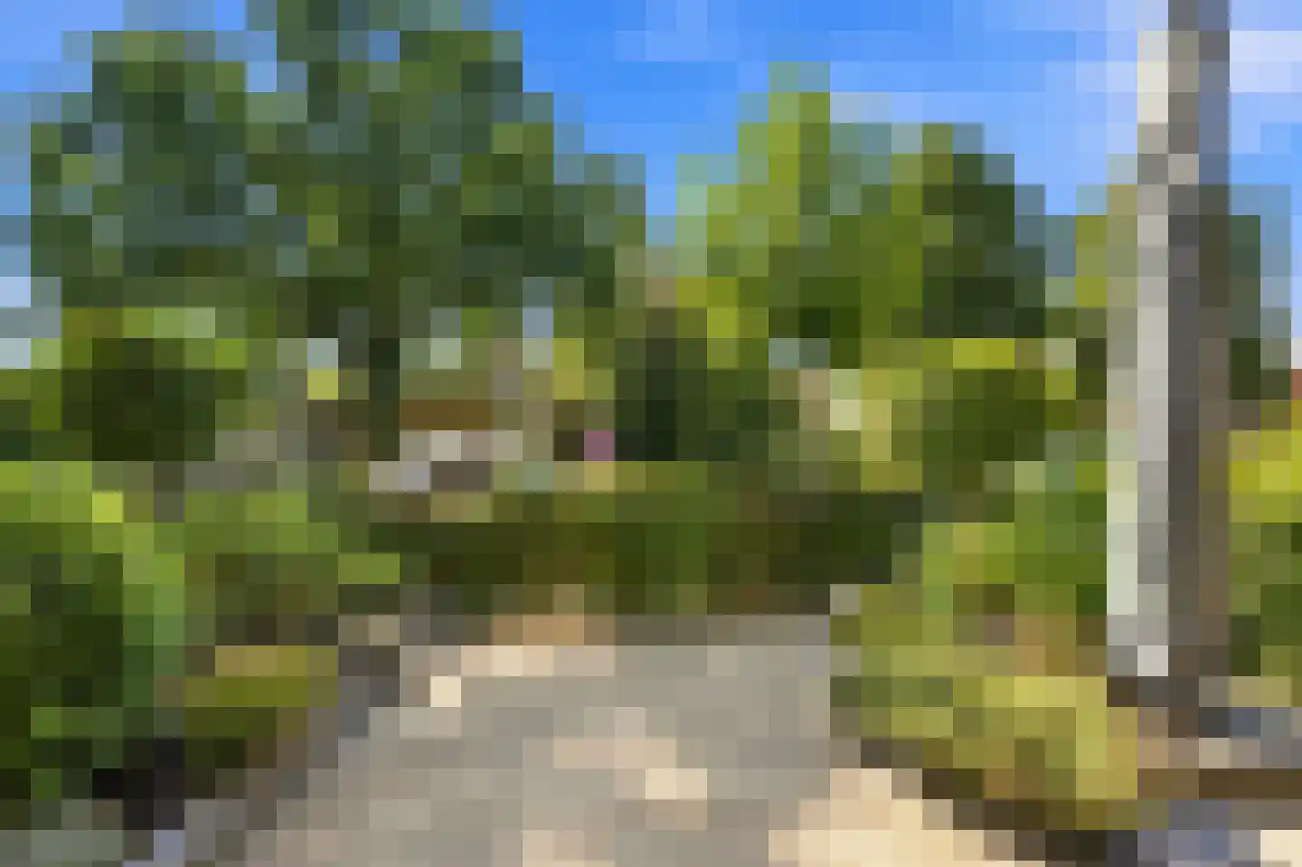 Anjerstraat 31 Alblasserdam thumbnail 31