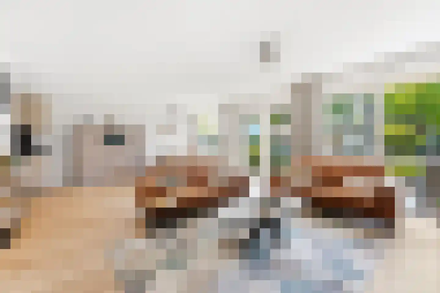 Anjerstraat 31 Alblasserdam thumbnail 4