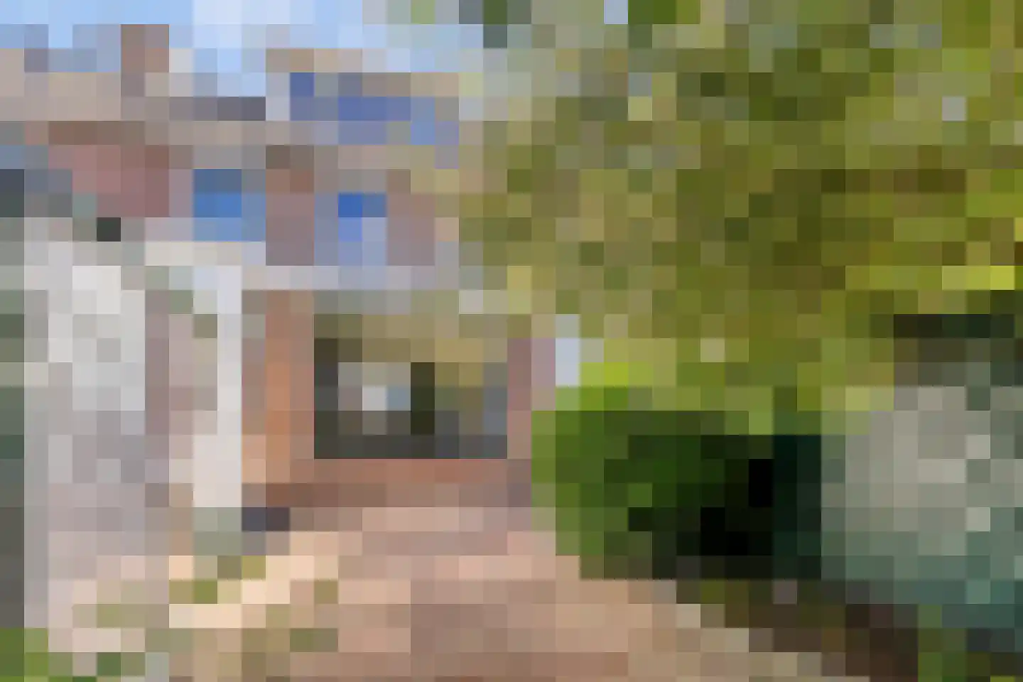 Anjerstraat 32 Steenbergen thumbnail 30