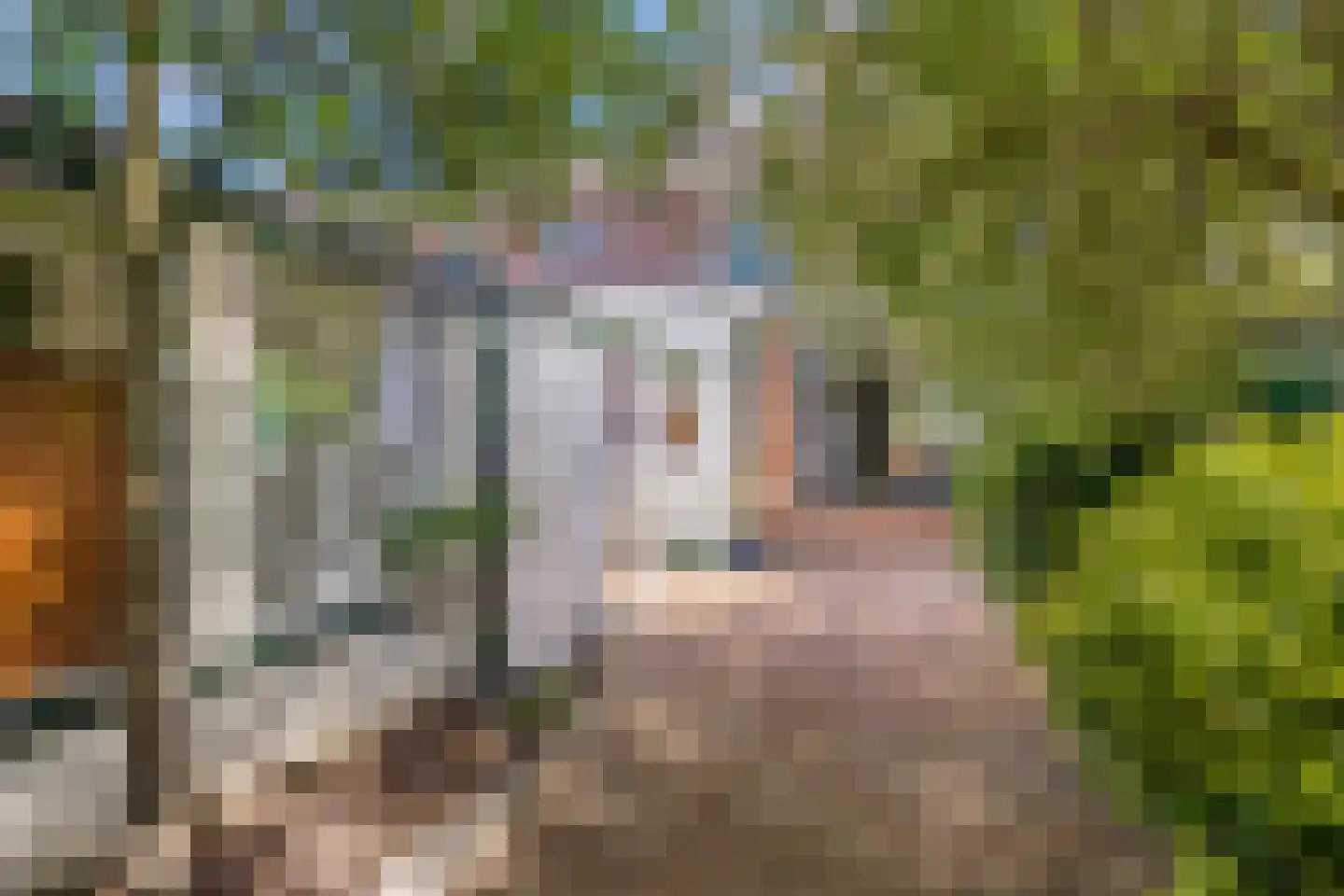 Anjerstraat 32 Steenbergen thumbnail 31