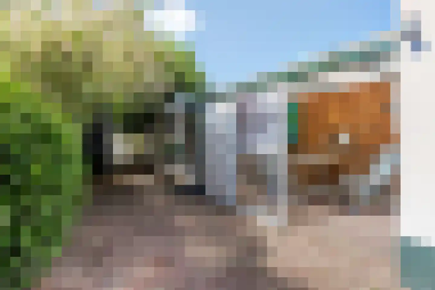 Anjerstraat 32 Steenbergen thumbnail 32