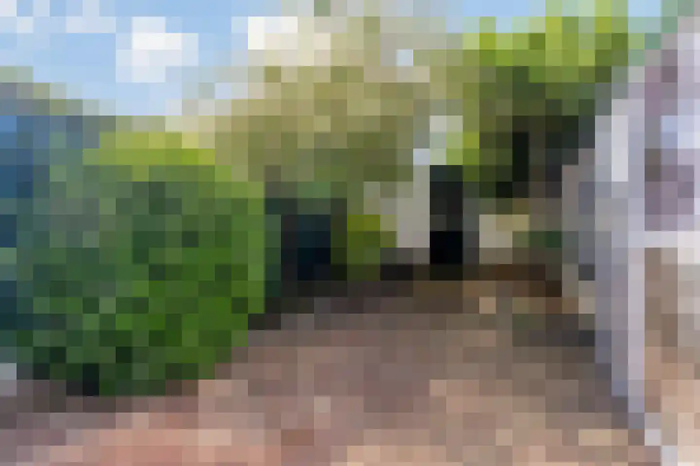 Anjerstraat 32 Steenbergen thumbnail 34